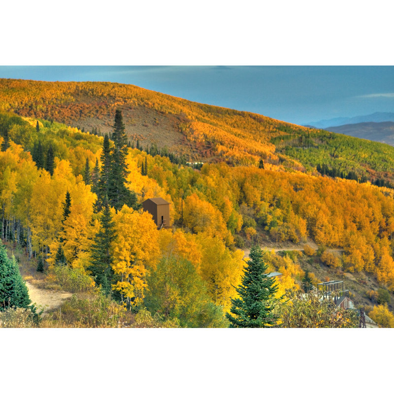 Fall Aspens at Empire Mine par Rhyman007, H 32 po x l 48 po