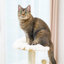 Meuble chat moderne de luxe pour chat