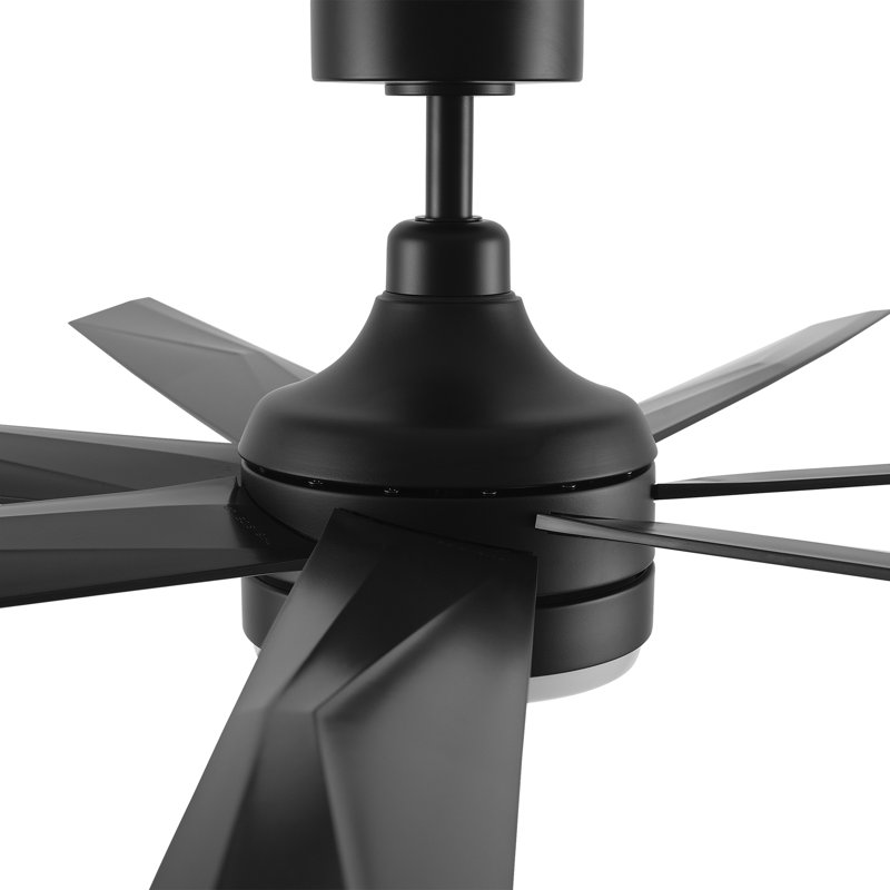 Ventilateur de plafond de 65 pouces avec télécommande et ensemble d'éclairage inclus.