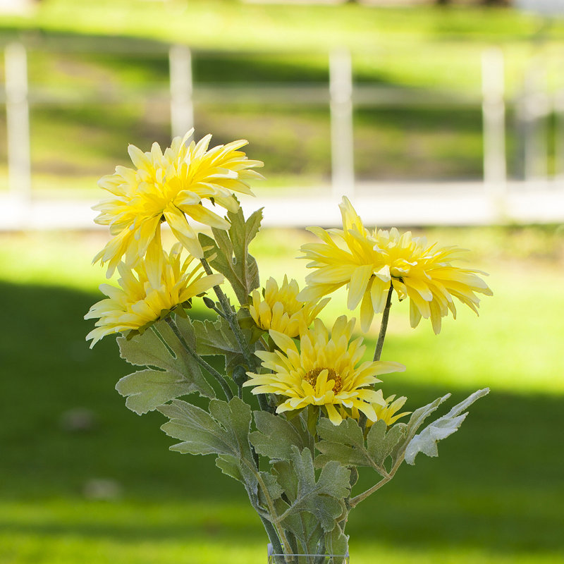 Bouquet de marguerites dans un vase, Jaune