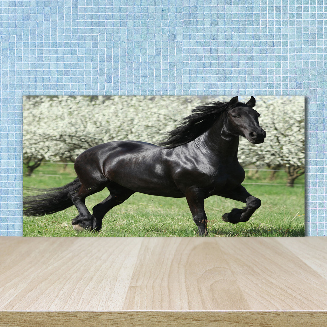 Friedlaender 50cm x 100cm Glass Panel