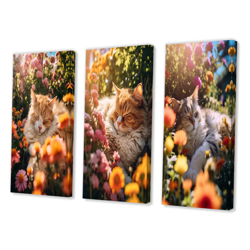 Fluffy Cat Sleeping Sunny Flower Garden I - Animals Cat Art Set Of 3 Pieces, H 28 po x l 36 po, Toile tendue
