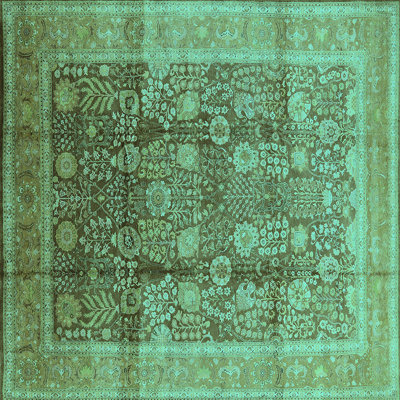 Oriental Indoor Rug