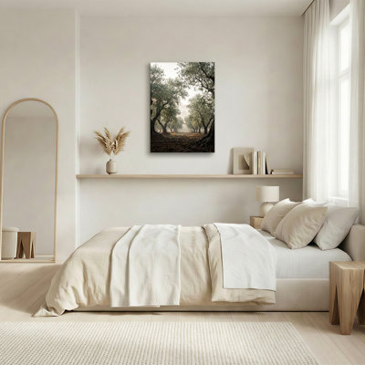 Art antique sur toile "Olive Trees in Foggy Morning Light"