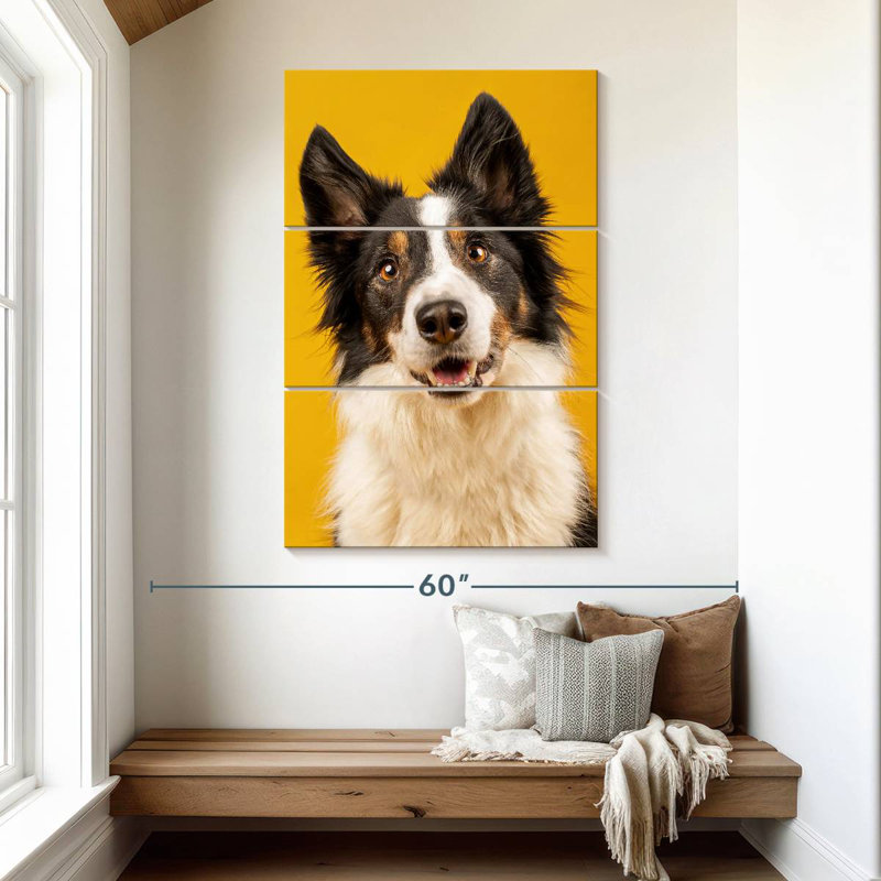 Border collie adorable Brampt, H 50 po x l 32 po