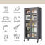 Armoire de rangement pour garde-manger moderne en métal - Portes doubles transparentes avec roues verrouillables-1541116709