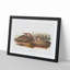 American Brown Weasels by J.W. Audubon - Single Picture Frame Painting-55545139-55545141