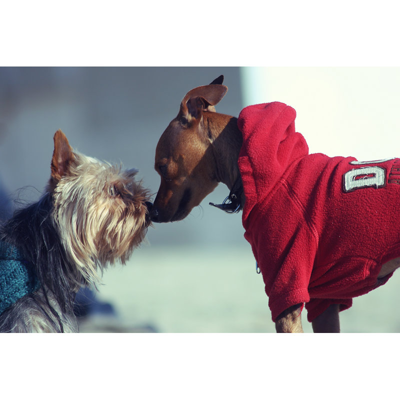 Deux chiens câlins par Binabina, H 12 po x l 18 po