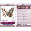 Kit de broderie Abris Art Mini Bead - ailes de tigre