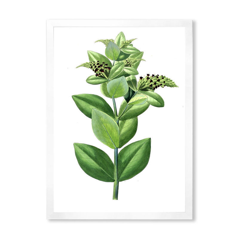 «Leaves Plants VI», reproduction sur toile encadrée, H 32 po x l 24 po x P 1 po, Blanc