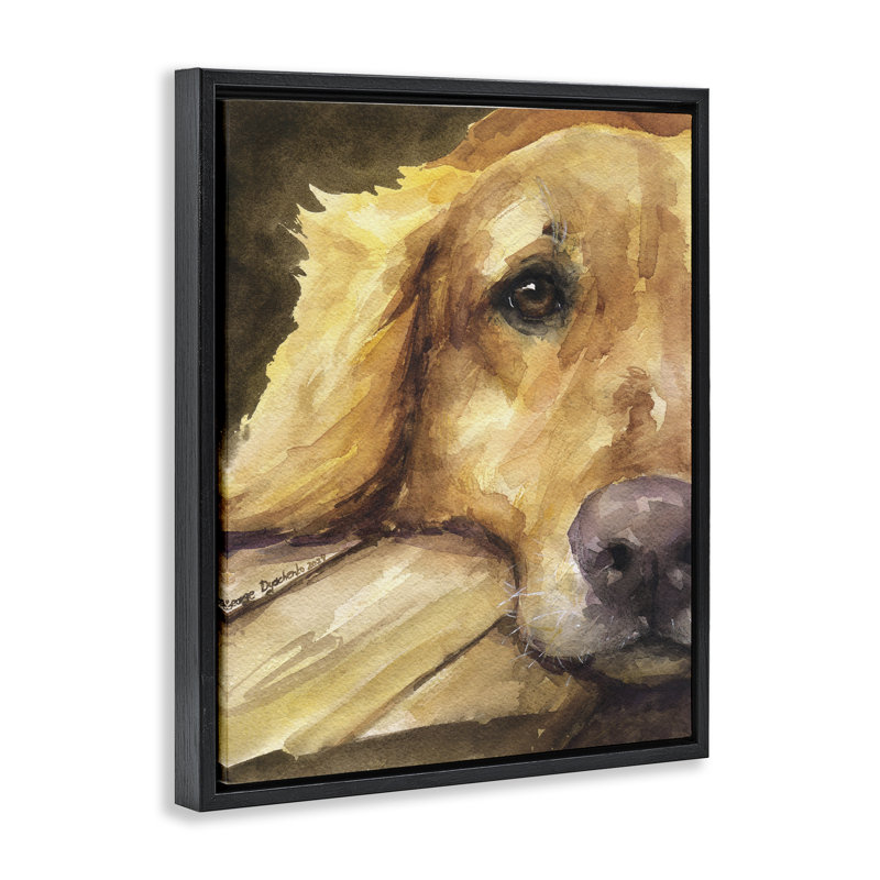 Cadre flottant Sight of Golden Retriever, design par George Dyachenko, Cadre flottant noir de jais, H 21 po x l 17 po