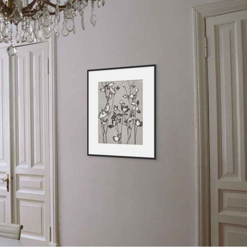 Lucent Botanicals 7 Print by Darrell Kincer, 28.5" H x 25.5" W