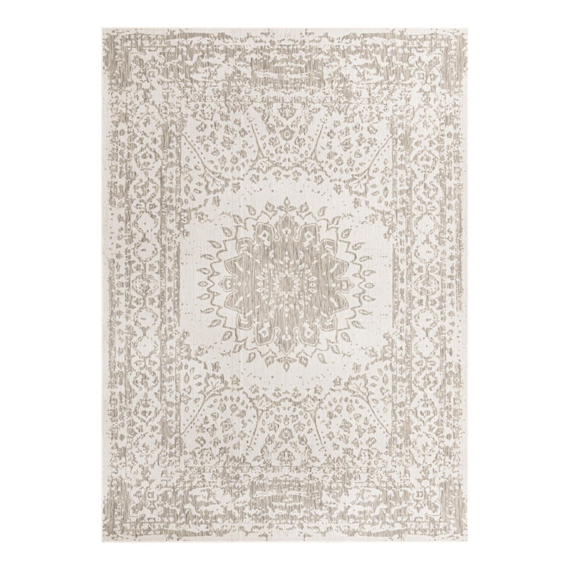 Ornate Lamotte Indoor/Outdoor Area Rug, Rectangle 10' x 14'1"