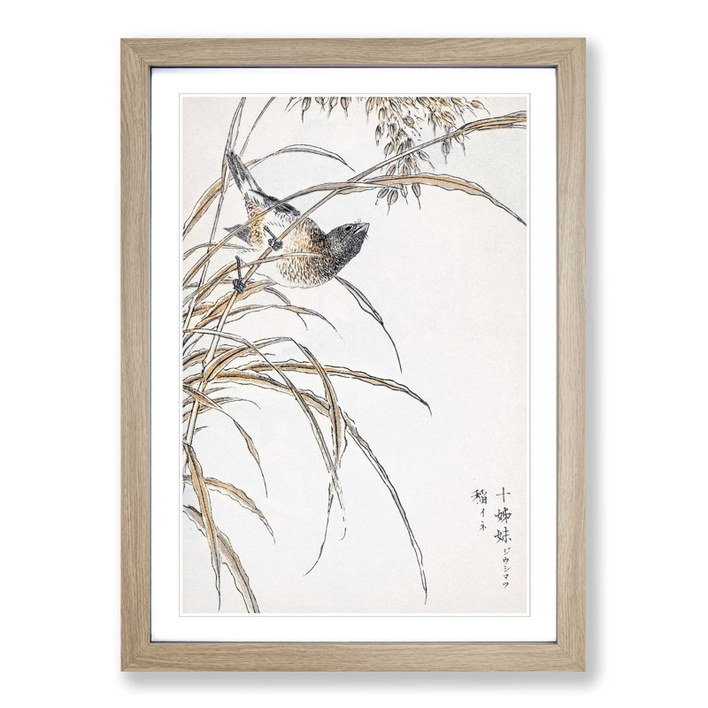 Japanese Grey Bunting Bird by Numata Kashu - Picture Frame Painting Print, Oak Framed, 65cm H x 48cm W x 2cm D