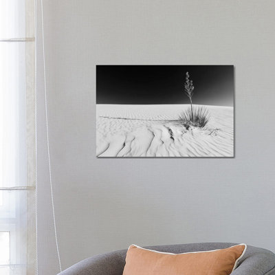 White Sands Nature | Monochrome by Melanie Viola - Wrapped Canvas Print