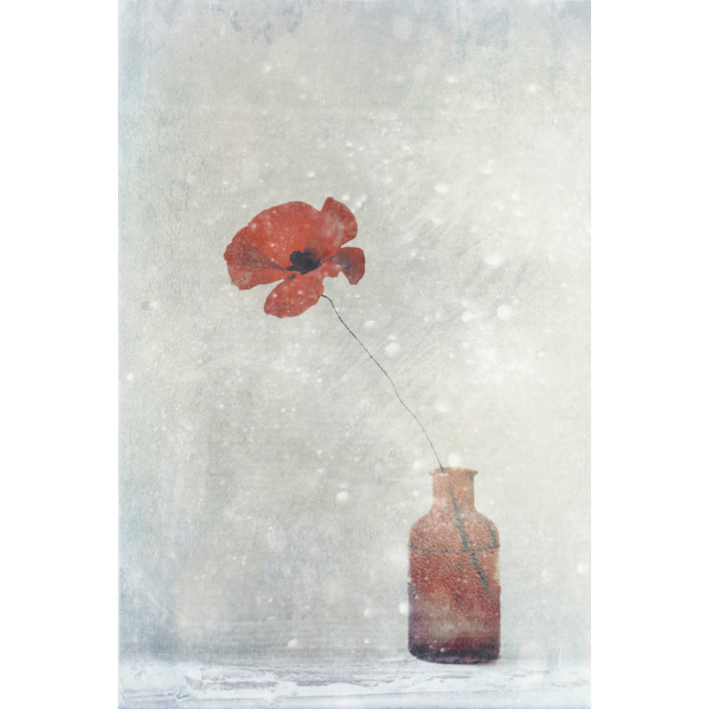Wrapped Canvas Print, 50.8 cm H x 76.2 cm W