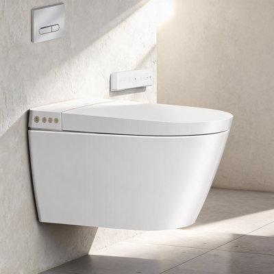 Wall Hung Toilet with Bidet, with In-Wall Tank System, Warm Water Clean, Heated Seat, Warm Air Dryer, Dual Auto Flush,Remote Control, Elongated Wall Hung Bidet Toilet Combo