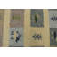 Performance Wool Indoor Rug