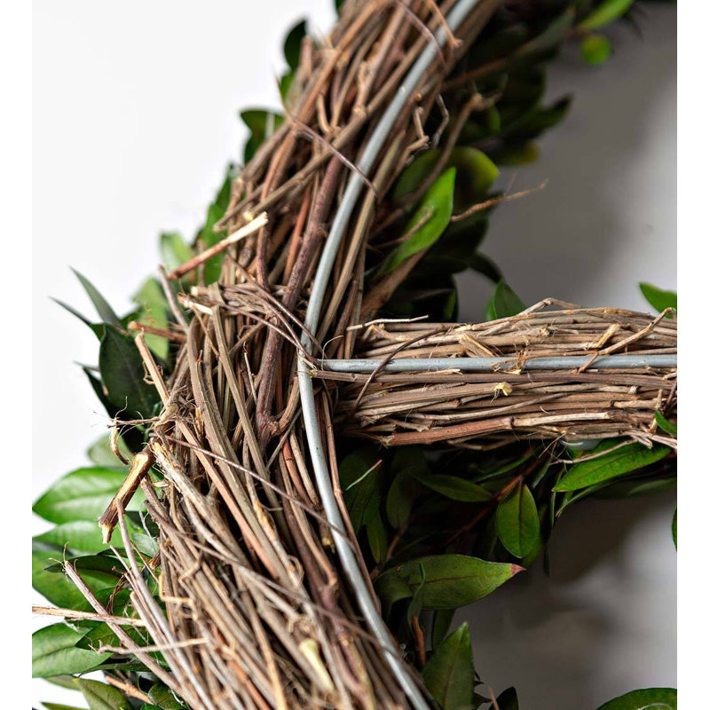 Preserved Green Leaf Peace Sign Wreath, 16" Dia.