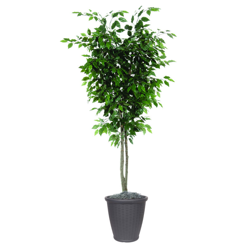 72'' Faux Tree in Pot, Brown