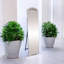 Shippensburg Oval Floor Mirror