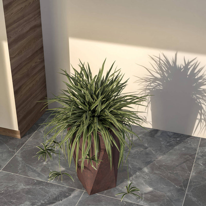Pot à fleurs Yarisma, Brun, H 24 po x l 12,2 po x P 12,2 po