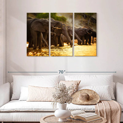 Elephants In Savanna
