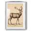 Vintage Animal Print VII - Reproduction encadrée-1281452503