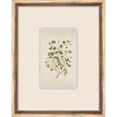 Petite Floral 2 Framed Watercolour Painting Print Canvas