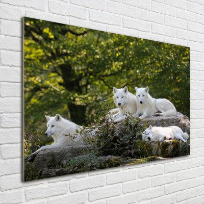 White Wolves Rock - No Frame Print on Glass