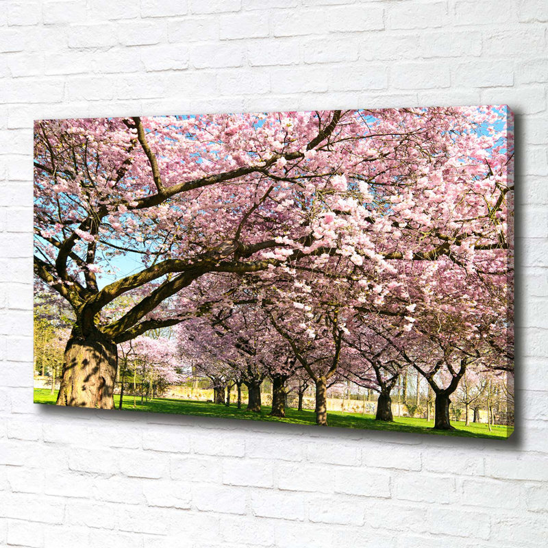 Cherry Trees - Wrapped Canvas Print