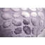 Mod Fretwork Lumbar Pillow Cover & Insert-90888059-90888062-90706473