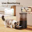 Automatic Feeder