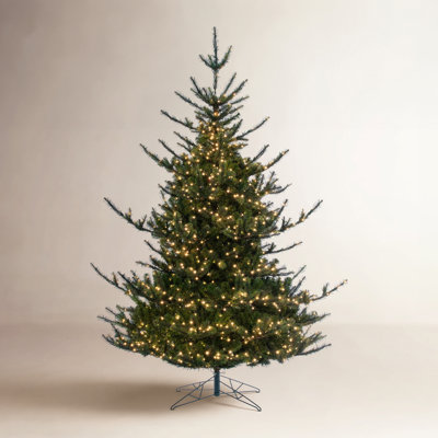 Fir Christmas Tree