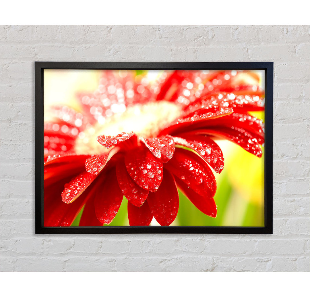 Amazing Red Flower - Einzelner Bilderrahmen Kunstdrucke auf Leinwand