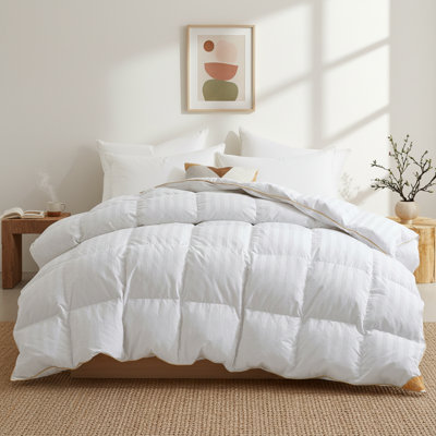 Ensemble d'édredon / édredon en plumes et duvet toutes saisons Hotel Quality