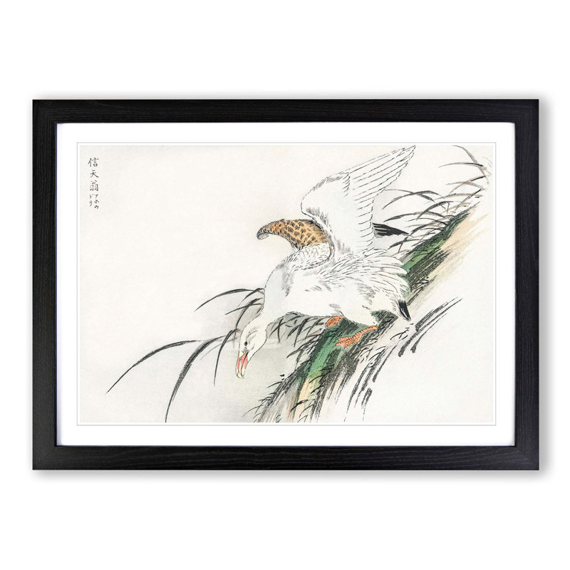 Albatross by Numata Kashu - Picture Frame Painting Print, 48cm H x 65cm W x 2cm D, Black Framed