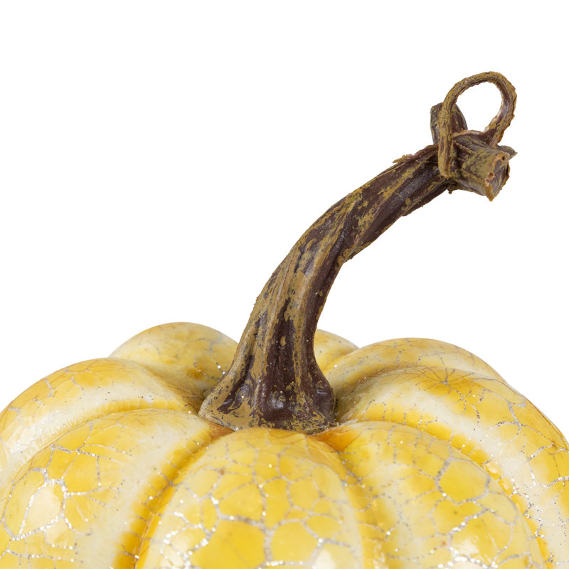 Citrouilles de récolte d'automne à finition craquelée blanche 4 po