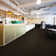 24'' W x 24'' L Level Loop Peel & Stick Polyester Carpet Tile