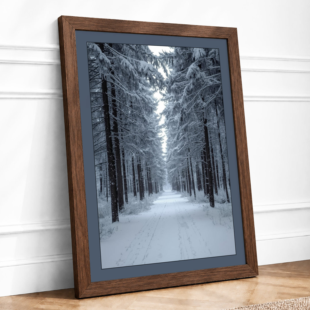 Snow-Lined Forest Path Scandinavian - Framed Print