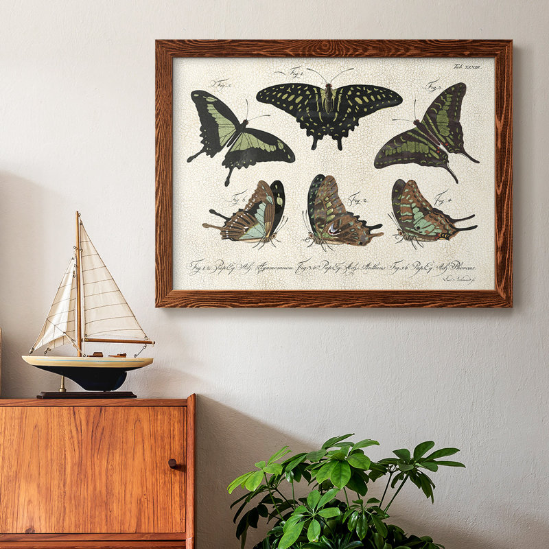 «Crackled Butterflies II», peinture sur toile encadrée, H 18 po x l 26 po x P 1,5 po, Érable