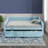 Starkisha Upholstered Daybed-1842395392