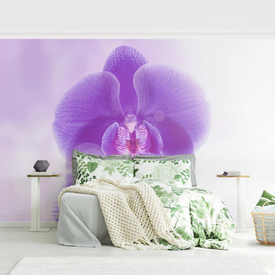 Matt Fototapete Lila Orchidee auf Wasser 2,25 m x 336 cm