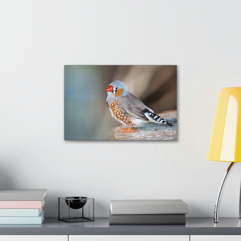 No Frame Print on Canvas, 30.48cm H x 40.64cm W