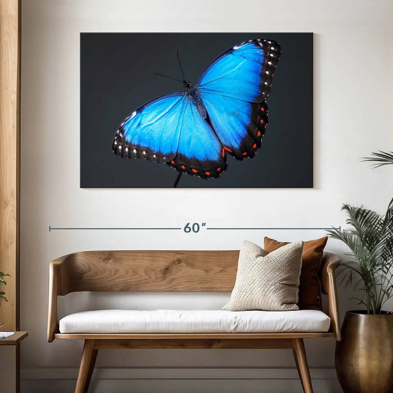 Morpho Blue Butterfly, 32" H x 48" W