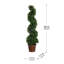 Topiaire de buis 36 po en pot