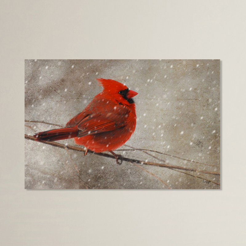 «Cardinal in Winter», reproduction de photo sur toile, H 16 po x l 24 po x p 2 po