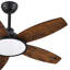 Ventilateur de plafond 42 po à 5 pales avec lumière DEL et télécommande-990602665-1000876674