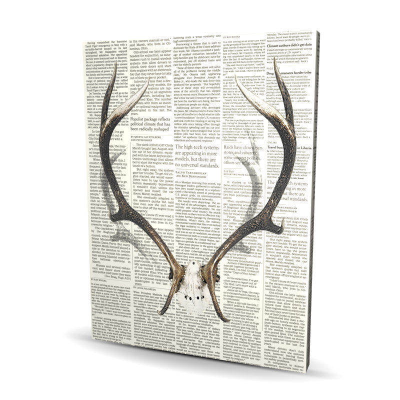 Cornes de cerf avec journal - décor de toile de salon rustique
