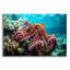 Octopus At Sea par Epic Portfolio-533571810